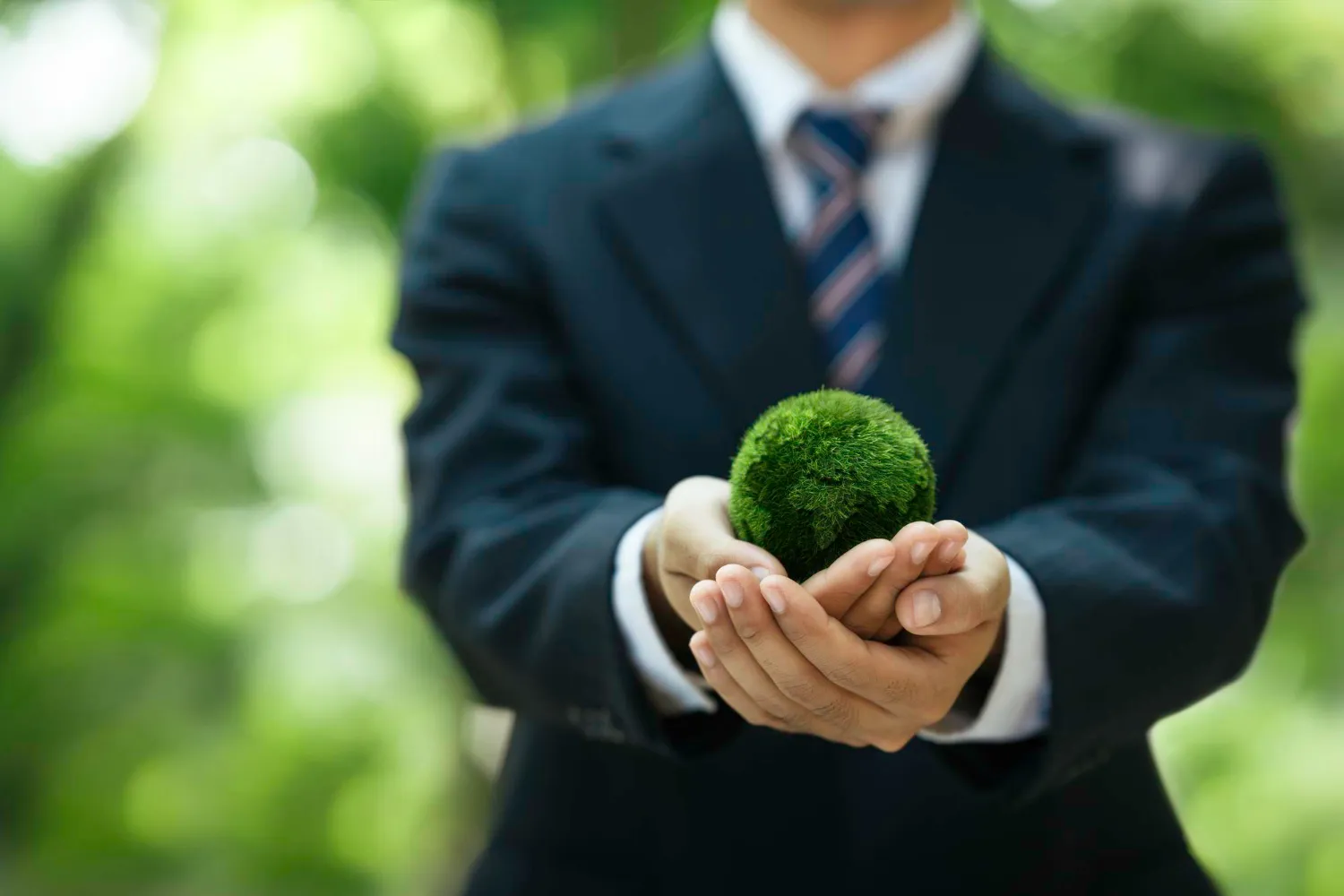 Automotive Inspections